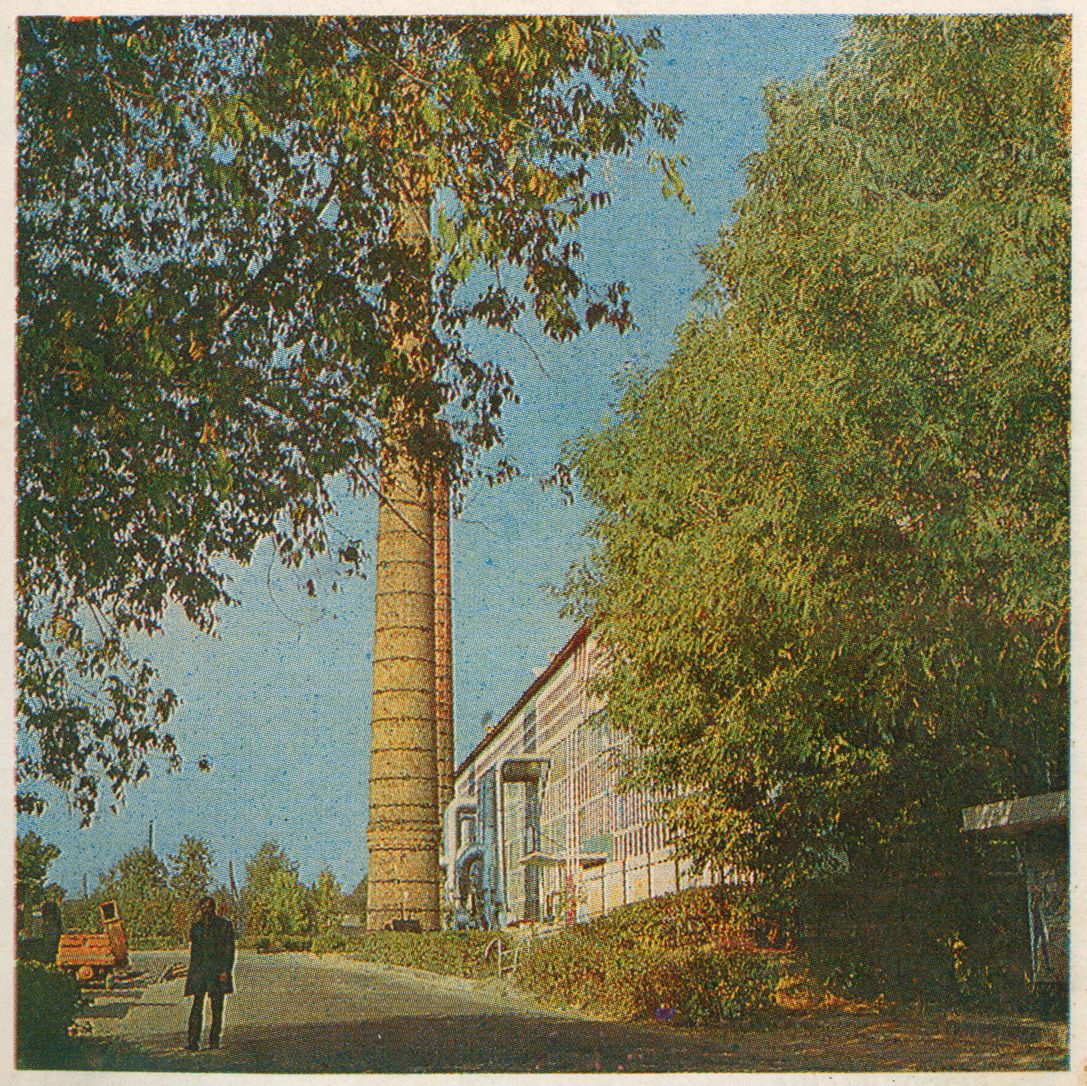 Корпус №3, 1980